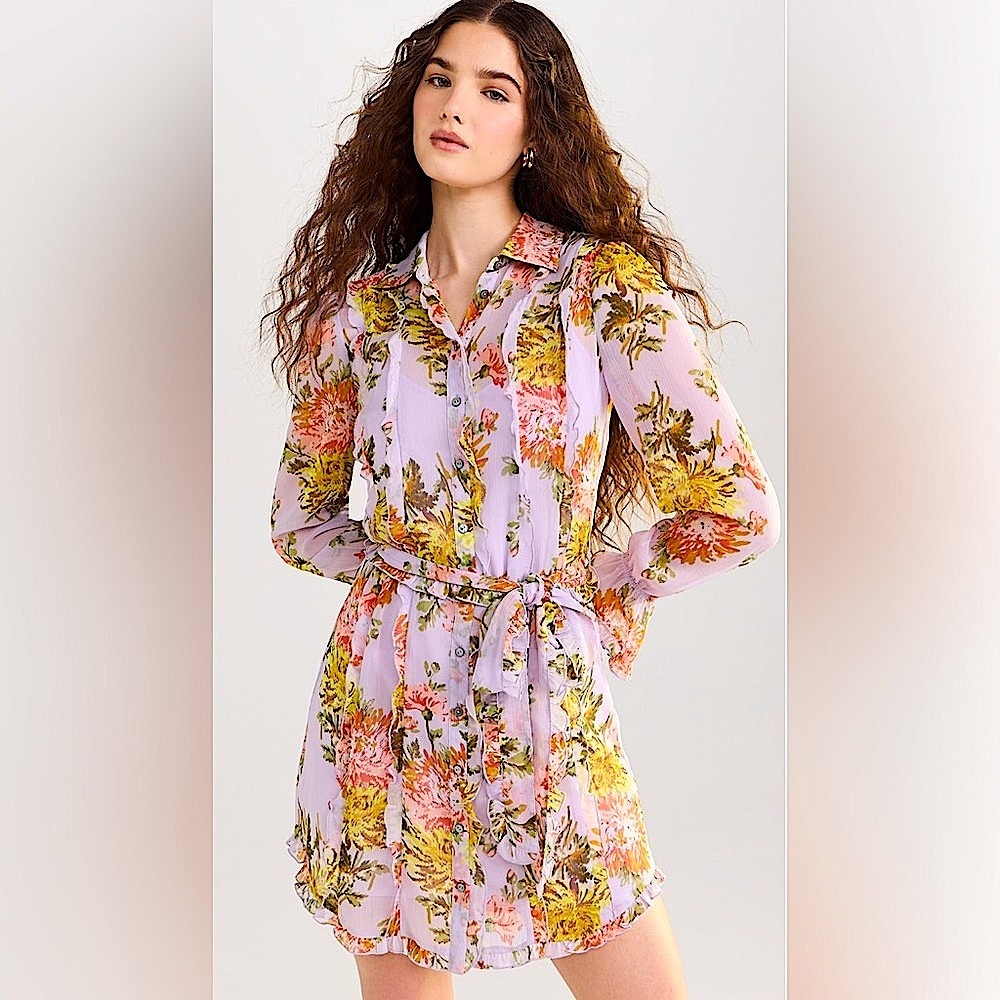 Cinq Sept Faded Chrysanthemum Estelle Dress. Size 12.